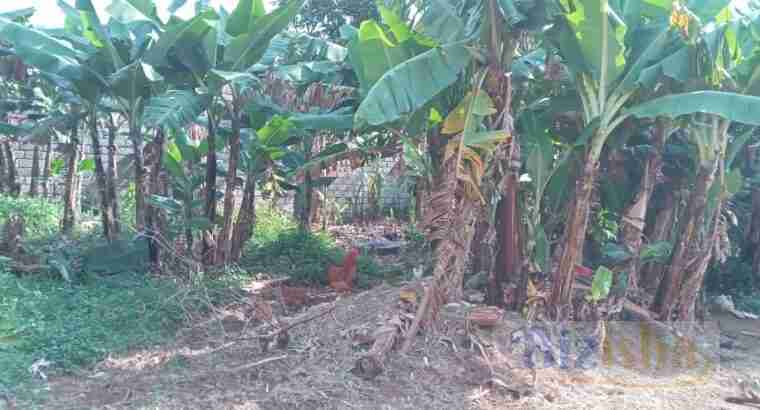 50×100 PLOT BUNGOMA TOWN CBD