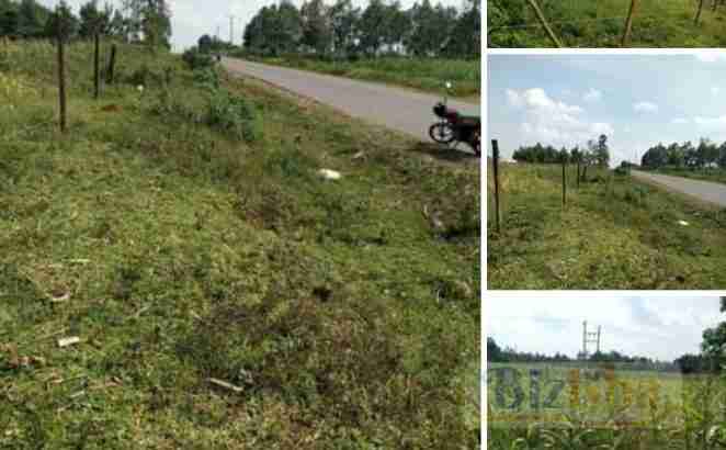 Land on sale