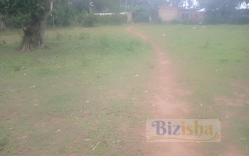 6 COMBINED PLOTS ON SALE AT KIBABII