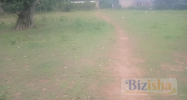 6 COMBINED PLOTS ON SALE AT KIBABII