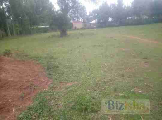 6 COMBINED PLOTS ON SALE AT KIBABII