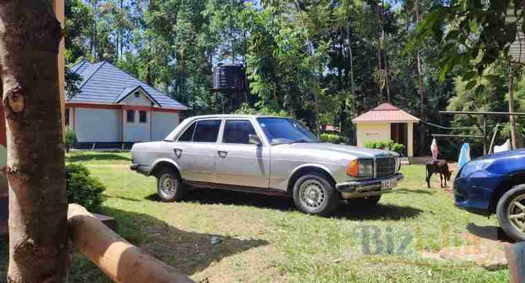 Mercedes w123