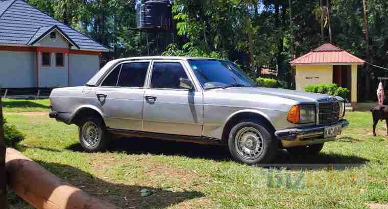 Mercedes w123