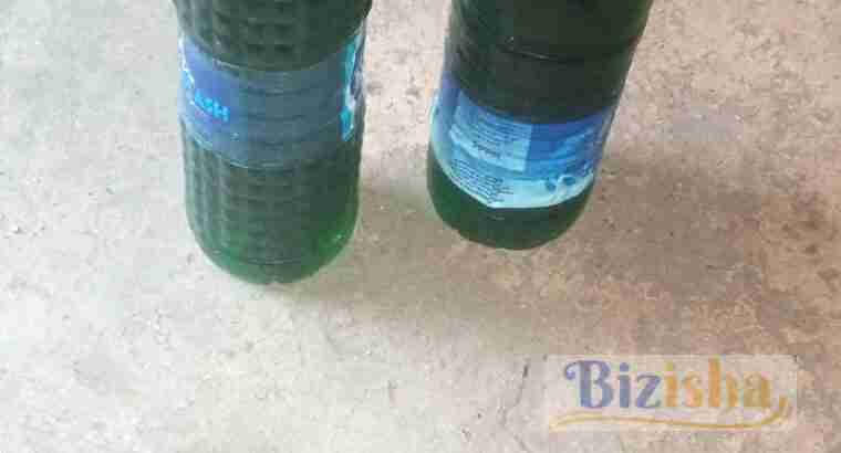 Blue and green home made liquid soap for washing