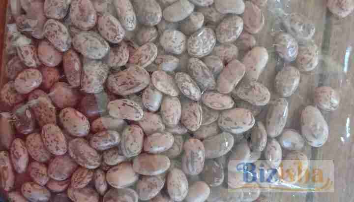 beans