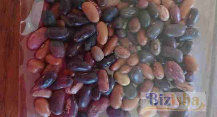 beans