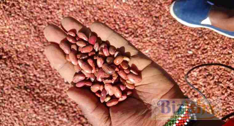 beans