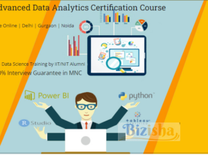 Data Analyst Training Course in Delhi.110017. Best